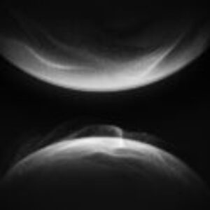 Profile photo of Mochi