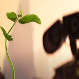 Profile photo of Uchka_7001