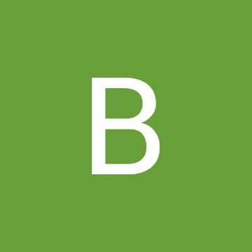 Profile photo of bayardo