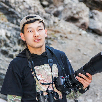 Profile photo of mr-falco