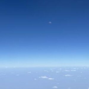 Profile photo of myagmarjav4074